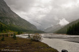 K216630-Icefields Parkway.jpg
