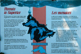 K230038.jpg