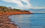 K235152-Cape Bear.jpg