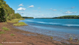 K233850-Murray River.jpg
