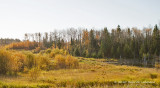 K237131.jpg