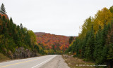 K236483-Fall colors.jpg