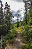 K5G4733-from a hike.jpg