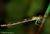 0849-web.jpg