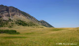 2182-83-4by7pano-web.jpg