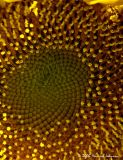 P1624-web.jpg