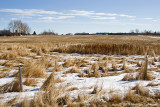P1314-web.jpg