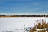 P1493-Airdrie.jpg