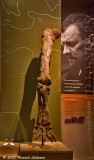 GP1643-Royal Tyrrell.jpg