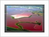 Salt Ponds
