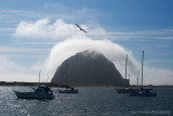 Misty Morro Bay Rock