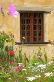 Window with Spring Flowers