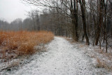 Snowy Trail