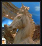 Horse at Caesars.JPG