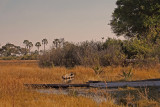 Mokoros on the Okavango Delta