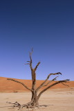 Deadvlei