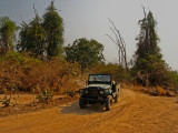 Jeep safari in South Luangwa National Park