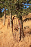 Abandoned wagon wheels