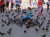 Feeding the wildlife in St Marks Square, Venice