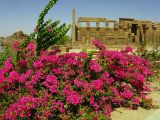Philae Temple