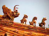 Up on the Roof of the Forbidden City