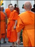 Monks, Wat Pho