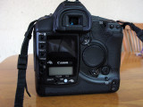 Canon 1d Back-1_1032.jpg