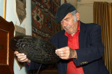 Nisan Cohen