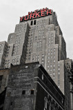 New Yorker