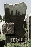 Sergei Dovlatov tomb