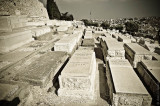 t20100901160755-rabkin-0404.jpg