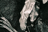 conservatory_2