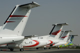 DASH 8 TAILS AUH RF IMG_9814.jpg