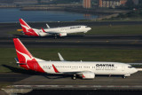 QANTAS BOEING 737 800S SYD RF IMG_1643.jpg