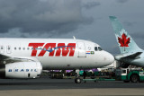 TAM AIRBUS A320 EZE RF IMG_4507.jpg