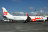 LION BOEING 737 900ER SUB RF IMG_5182.jpg