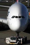 QANTAS AIRBUS A380 SYD RF IMG_8165.jpg
