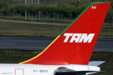 TAM AIRBUS A330 200 GRU RF IMG_4775.jpg
