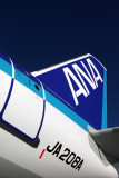 ANA AIRBUS A320 NRT RF IMG_2231.jpg