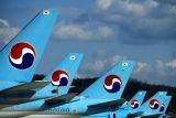 KOREAN TAILS GMP RF.jpg