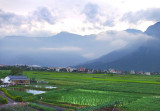 Sceneries by the roadside