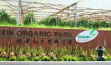 Zen Xin Organic Farm