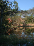 Santa Cruz Botanical Garden