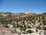 Dipping slope of the Waterpocket Fold