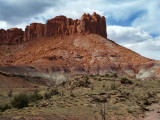 Escalante Wolverine Petrified Forest