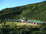 Finca Lerida