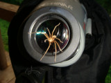 What was living in my scope cover!