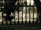  Bendigo White Hills Cemetery 