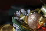 Pine Cone