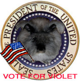 Violet for President